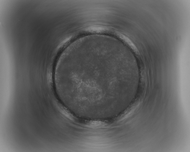 X0000111630399200908071415