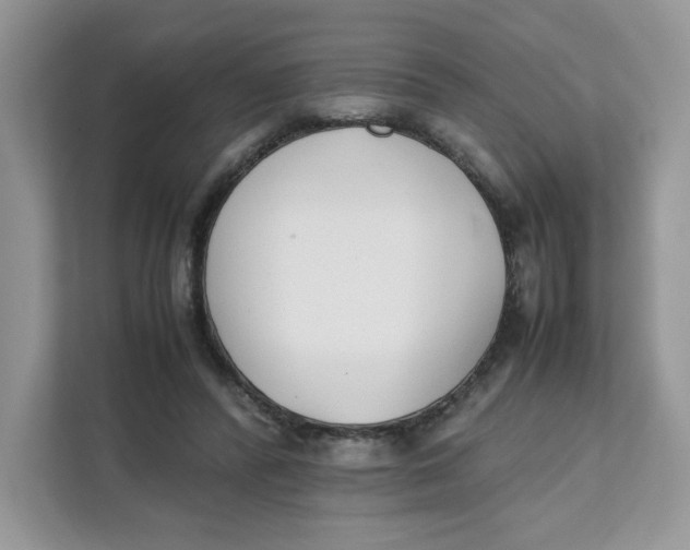 X0000111630400200908071415