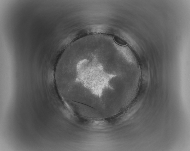 X0000111630401200908071415