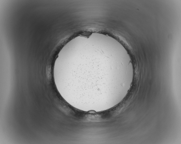 X0000111630403200908071415