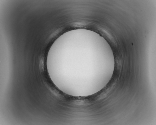 X0000111630404200908071415