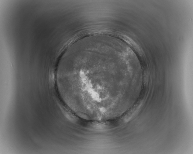X0000111630405200908071415