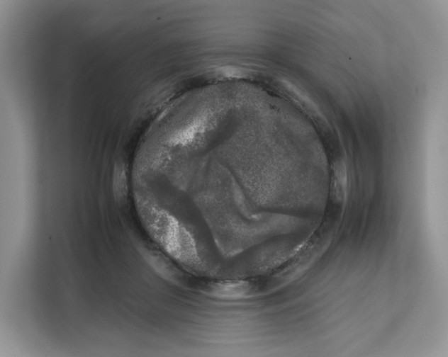X0000111630410200908071415