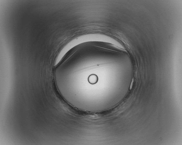 X0000111630411200908071415