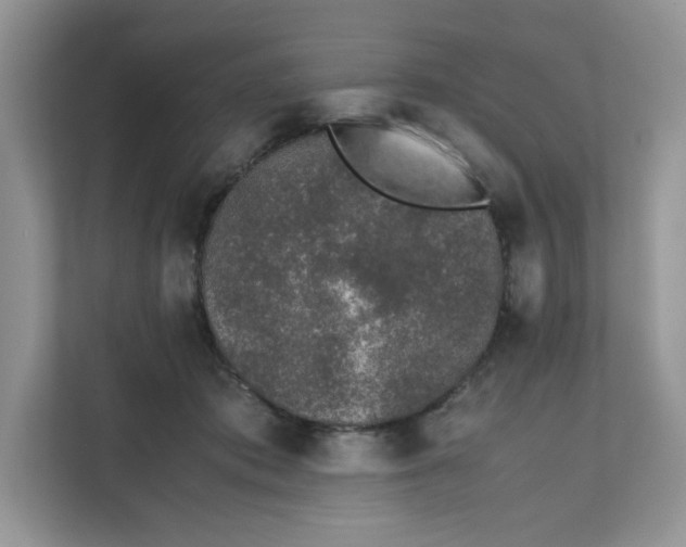 X0000111630413200908071415