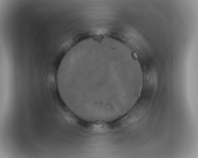 X0000111630415200908071415