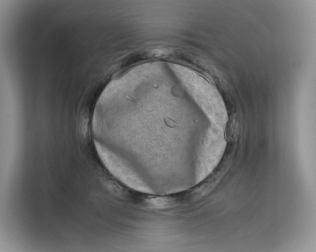X0000111630417200908071415