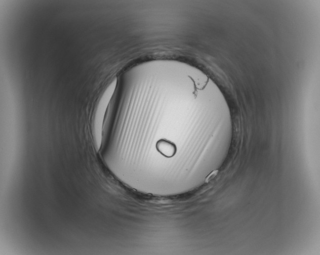 X0000111630419200908071415