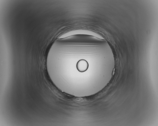 X0000111630421200908071415