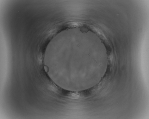 X0000111630423200908071415