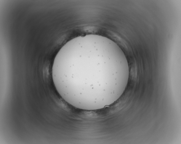 X0000111630424200908071415