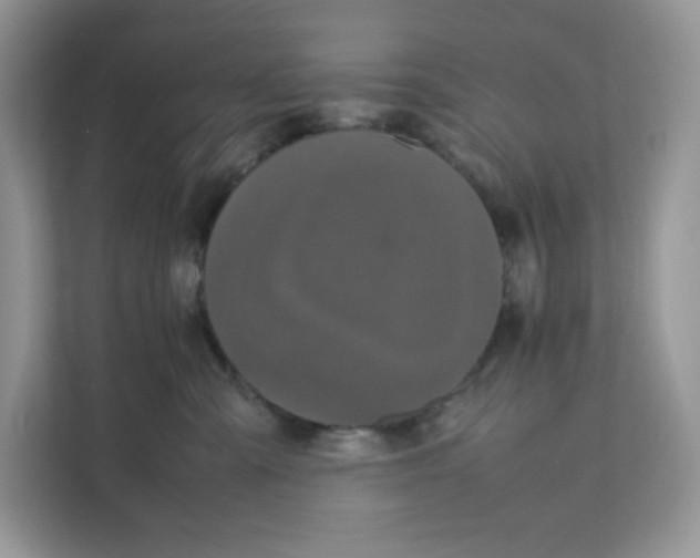 X0000111630427200908071415
