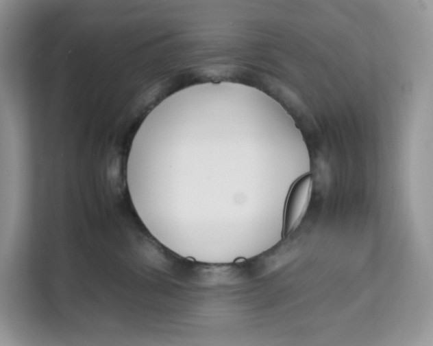 X0000111630428200908071415