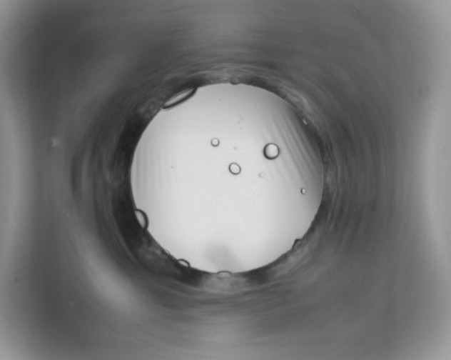 X0000111630429200908071415