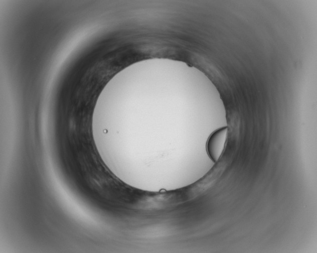 X0000111630430200908071415