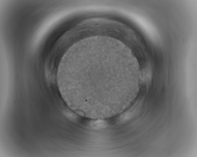 X0000111630431200908071415
