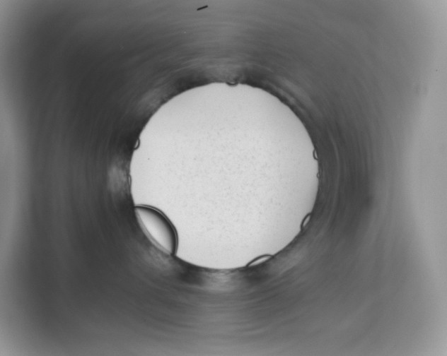 X0000111630432200908071415