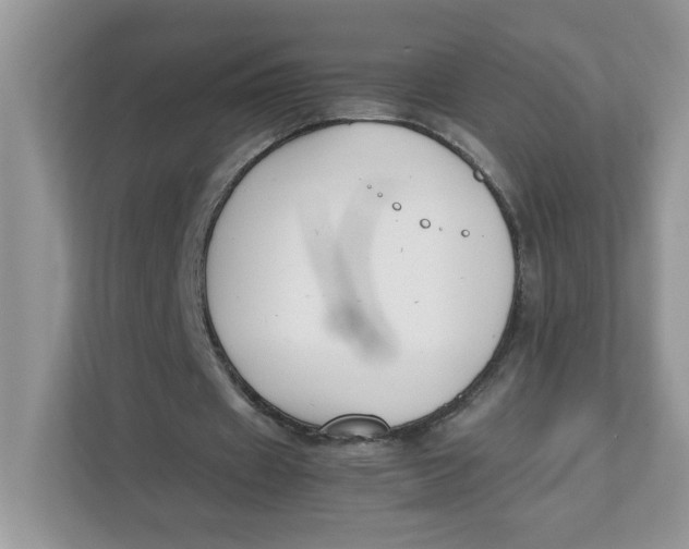 X0000111630433200908071414