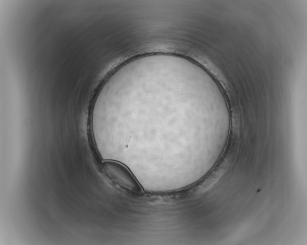 X0000111630434200908071414