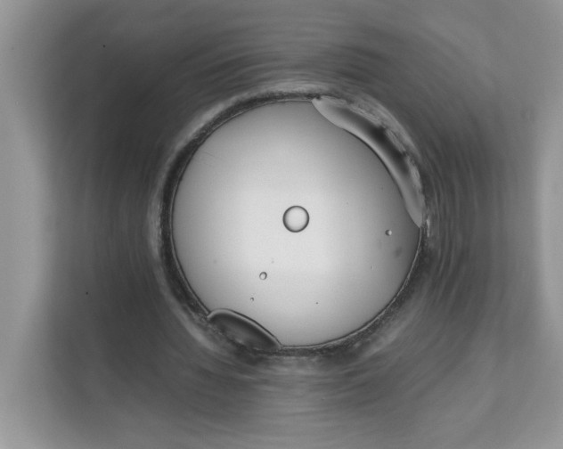 X0000111630436200908071414
