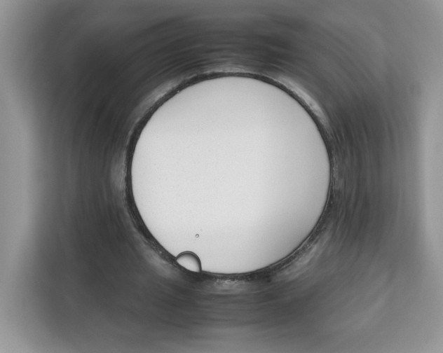 X0000111630437200908071414