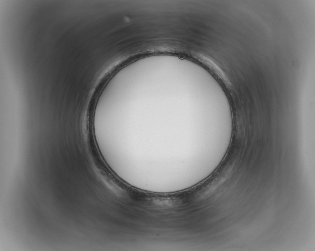 X0000111630439200908071414
