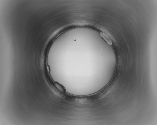 X0000111630440200908071414
