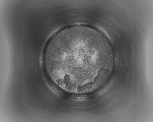 X0000111630443200908071414