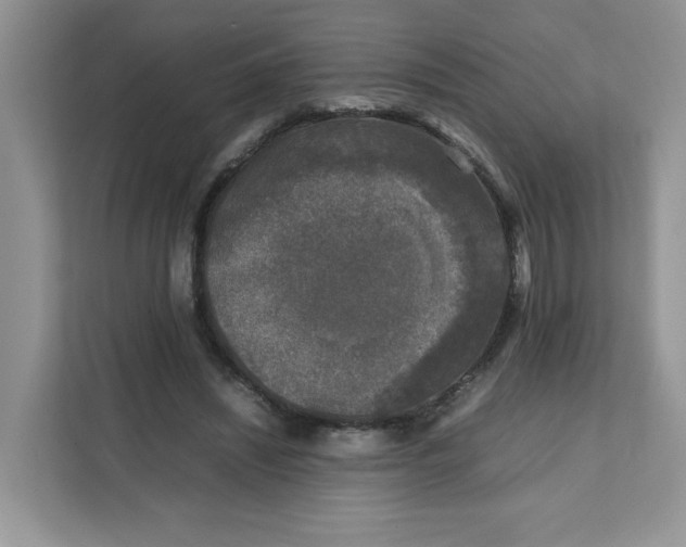 X0000111630444200908071414