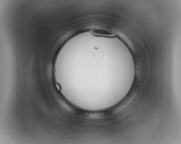 X0000111630445200908071414