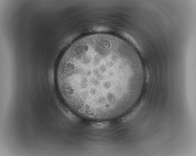 X0000111630447200908071414