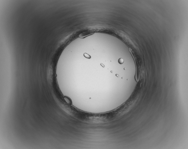 X0000111630448200908071414