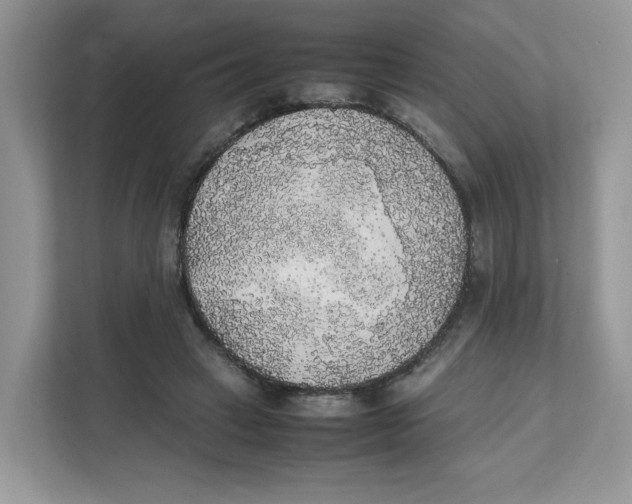X0000111630449200908071414