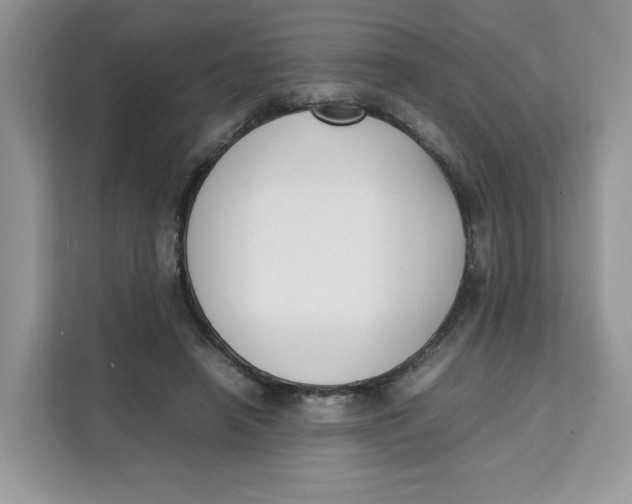 X0000111630450200908071414
