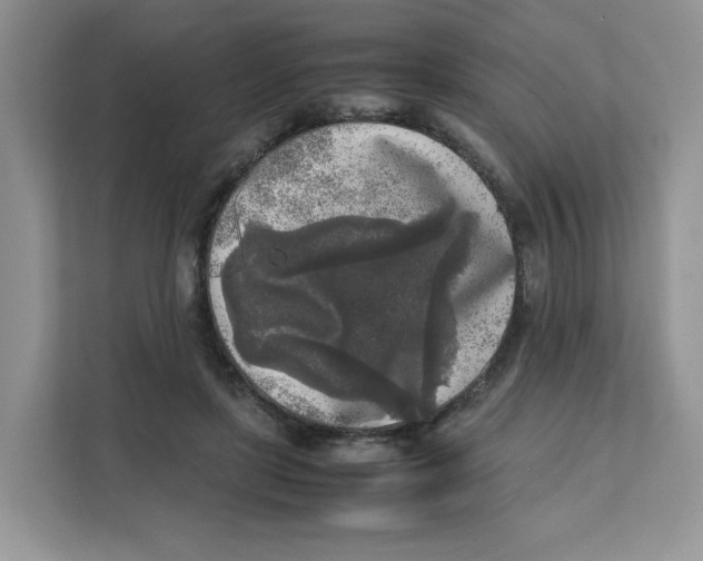 X0000111630451200908071414