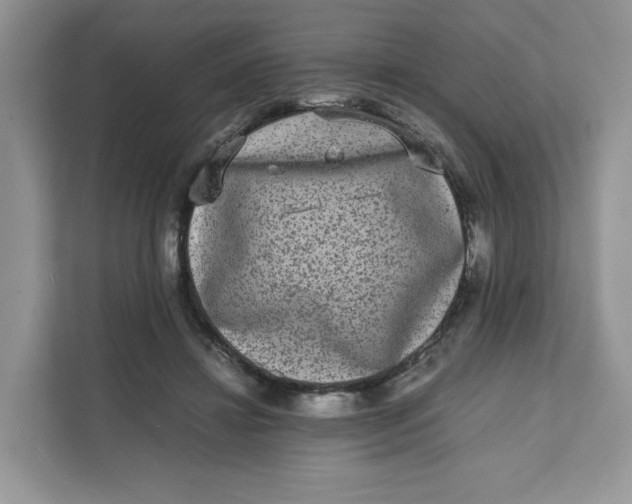 X0000111630452200908071414