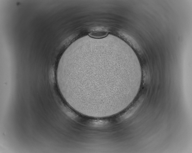 X0000111630453200908071414