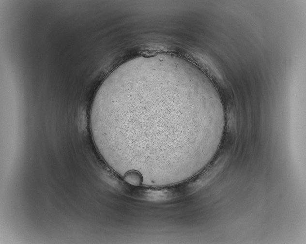 X0000111630457200908071415
