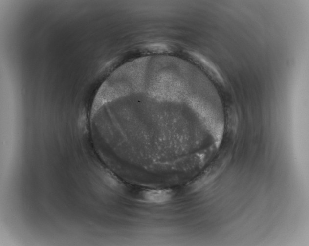 X0000111630465200908071415
