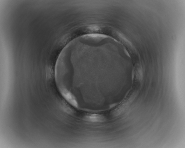 X0000111630467200908071415