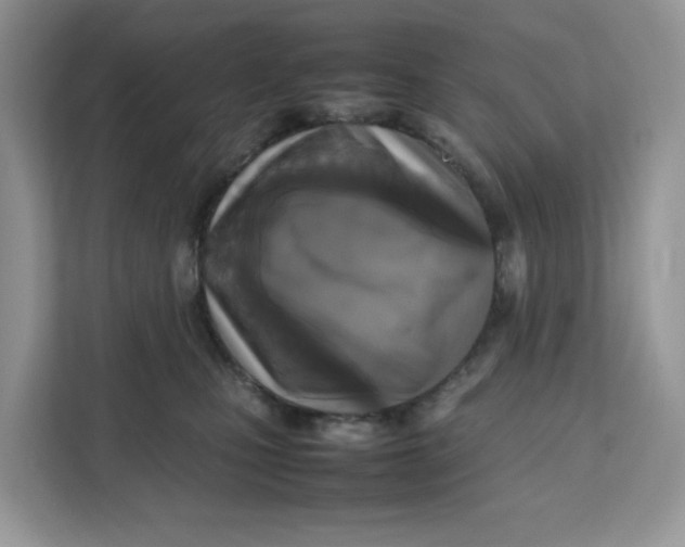 X0000111630471200908071415