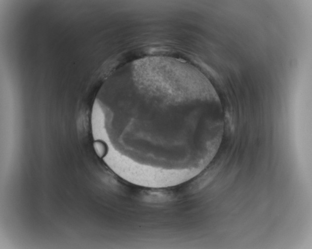 X0000111630475200908071415