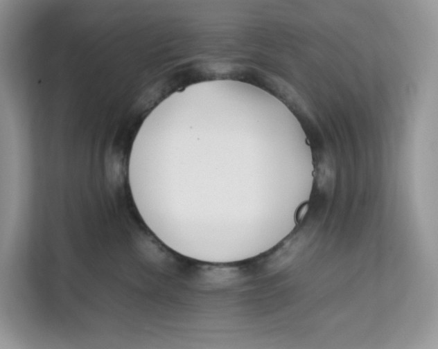 X0000111630476200908071415