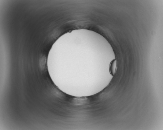 X0000111630480200908071415