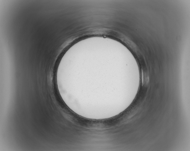 X0000111630483200908071414