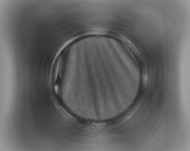 X0000111630484200908071414