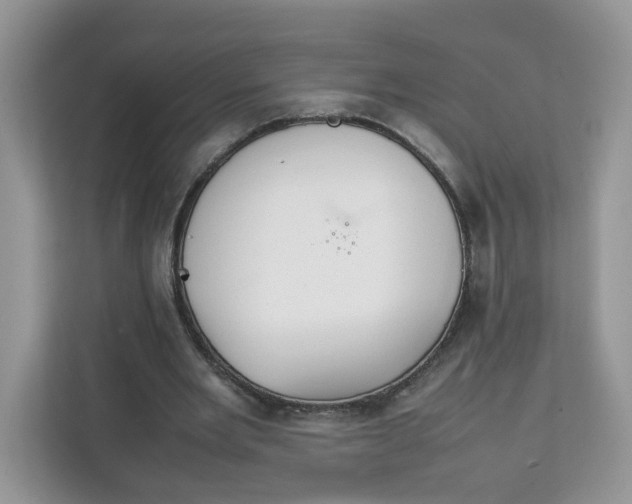 X0000111630485200908071414