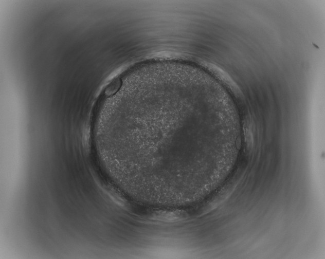 X0000111630488200908071414