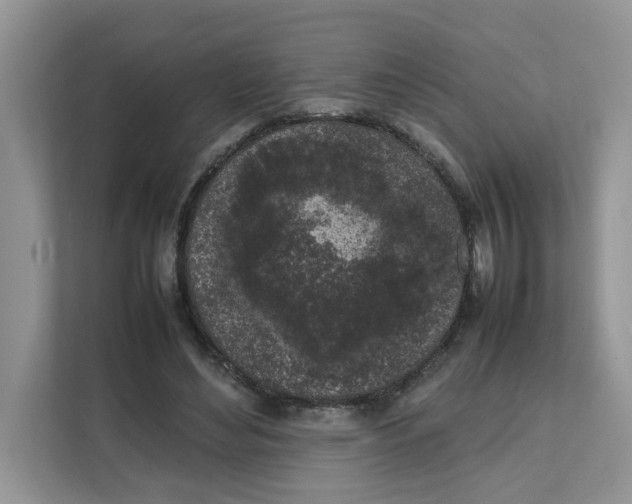 X0000111630492200908071414