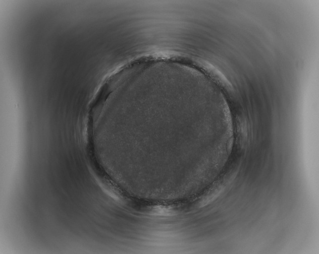 X0000111630496200908071414